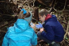 DSC09510-Bodenprobe.JPG